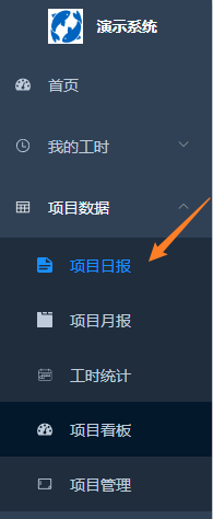 项目日报入口